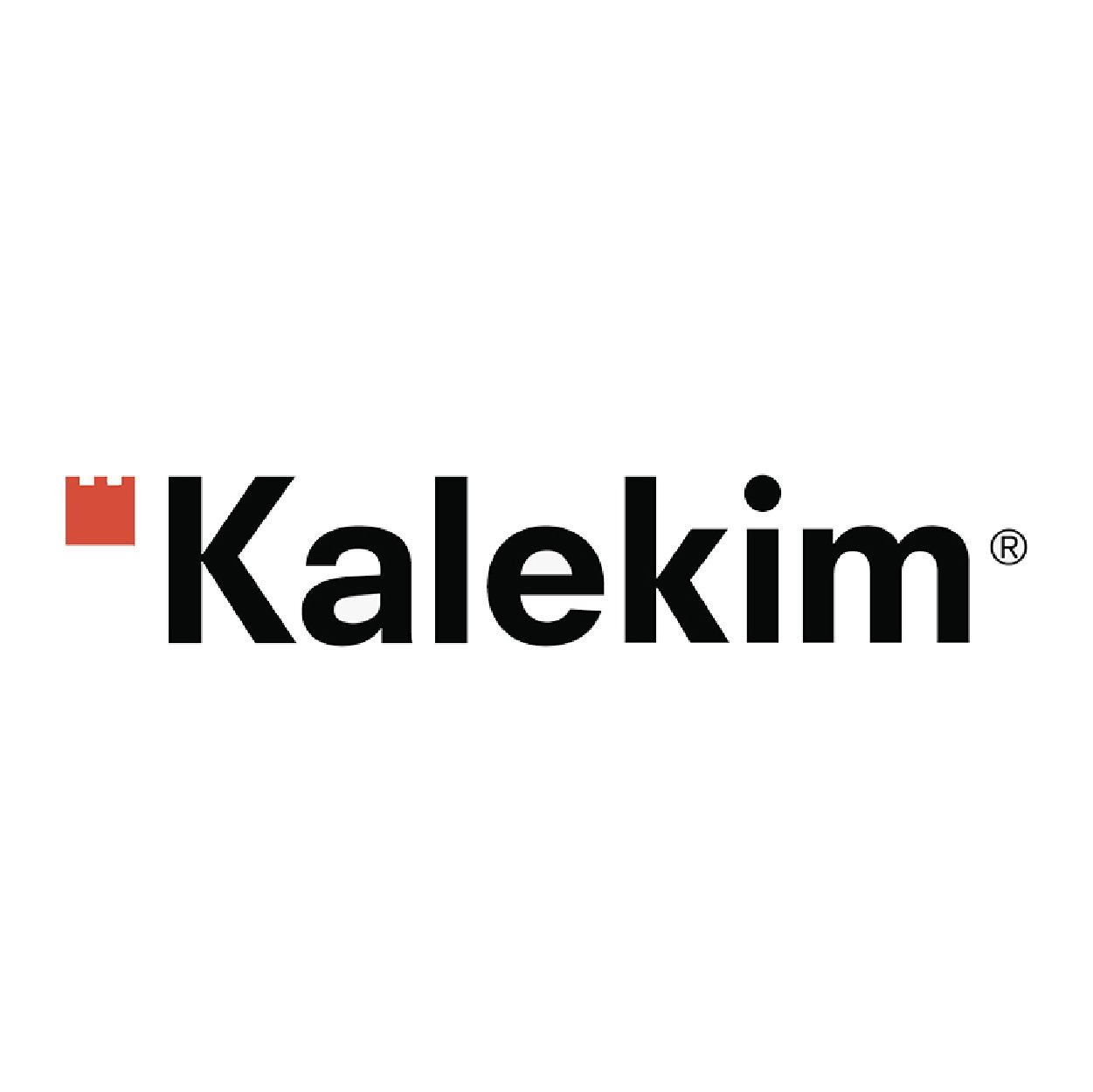 Logo 4